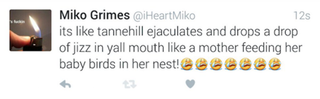 Illustration for article titled Miko Grimes Says She Tweeted Dumb Shit On Purpose To Get The Dolphins To Cut Her Husband